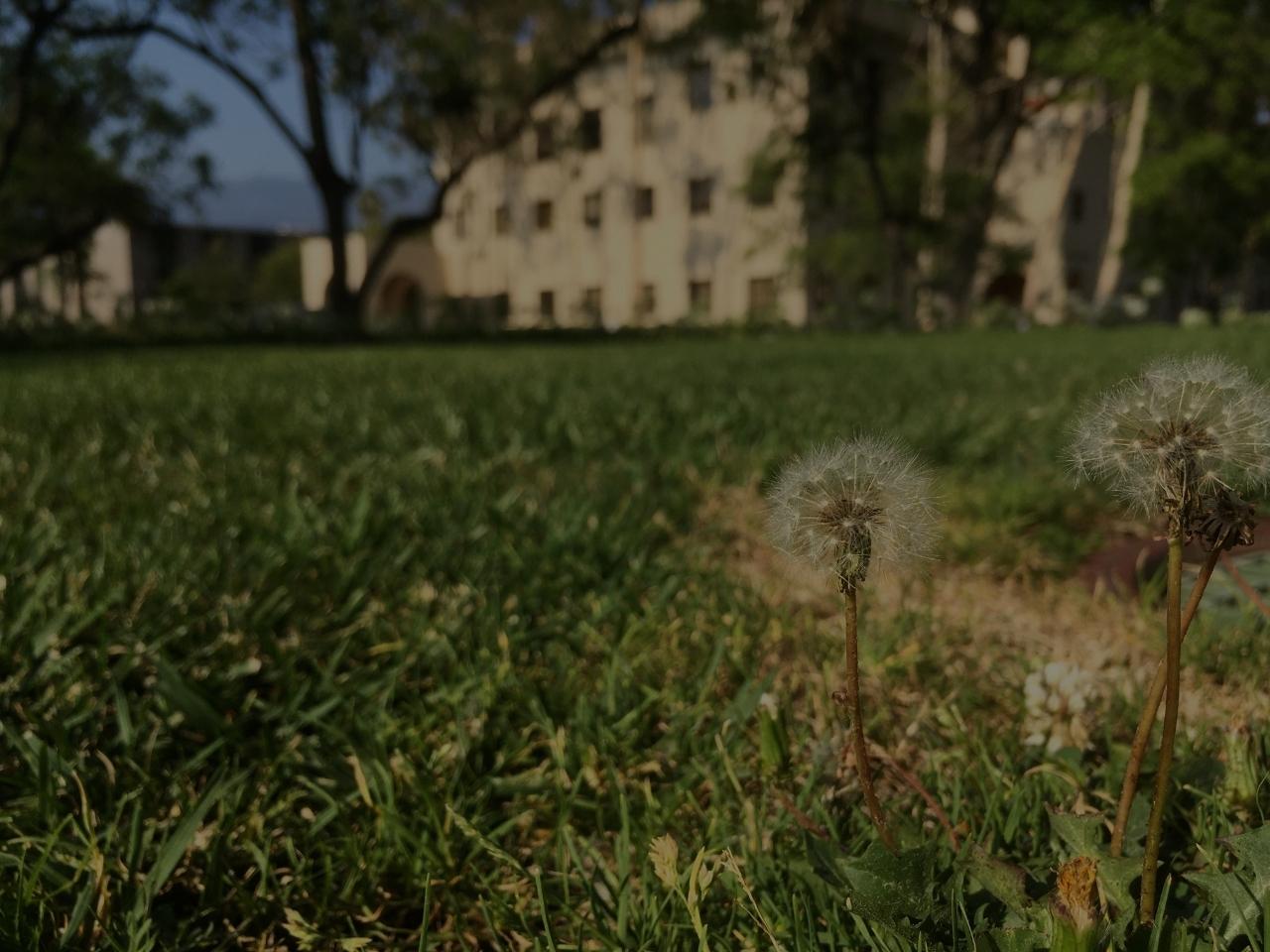 Projects The Terra Project